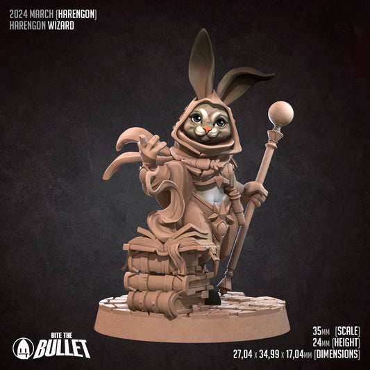 Harengon Wizard | Bite The Bullet | 35mm Scale | Resin Printed Tabletop RPG Miniature Figures | DND | 5E