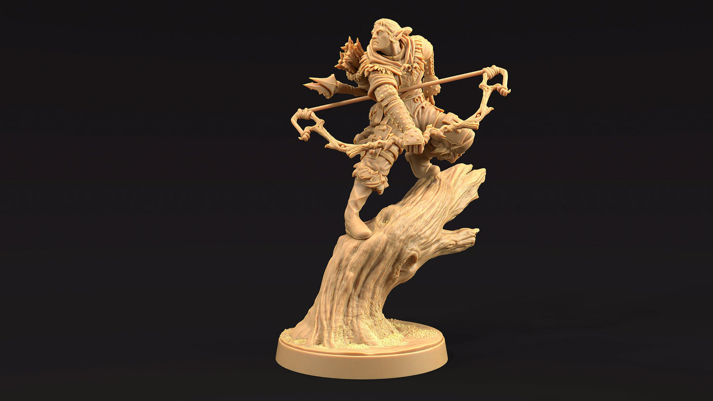 Lyklor, Master Hunter | Dragon Trappers Lodge | Journey Through The Direlands | 32mm Scale Resin Printed Tabletop RPG Figure For DND