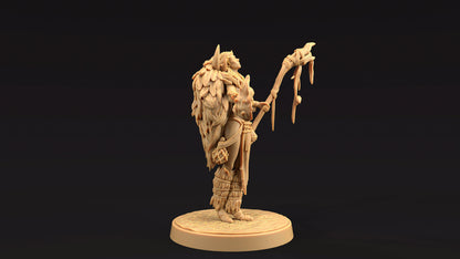 Naya, Shaman of Beasts | Dragon Trappers Lodge | Journey Through The Direlands | 32mm Scale Resin Printed Tabletop RPG Figure For DND