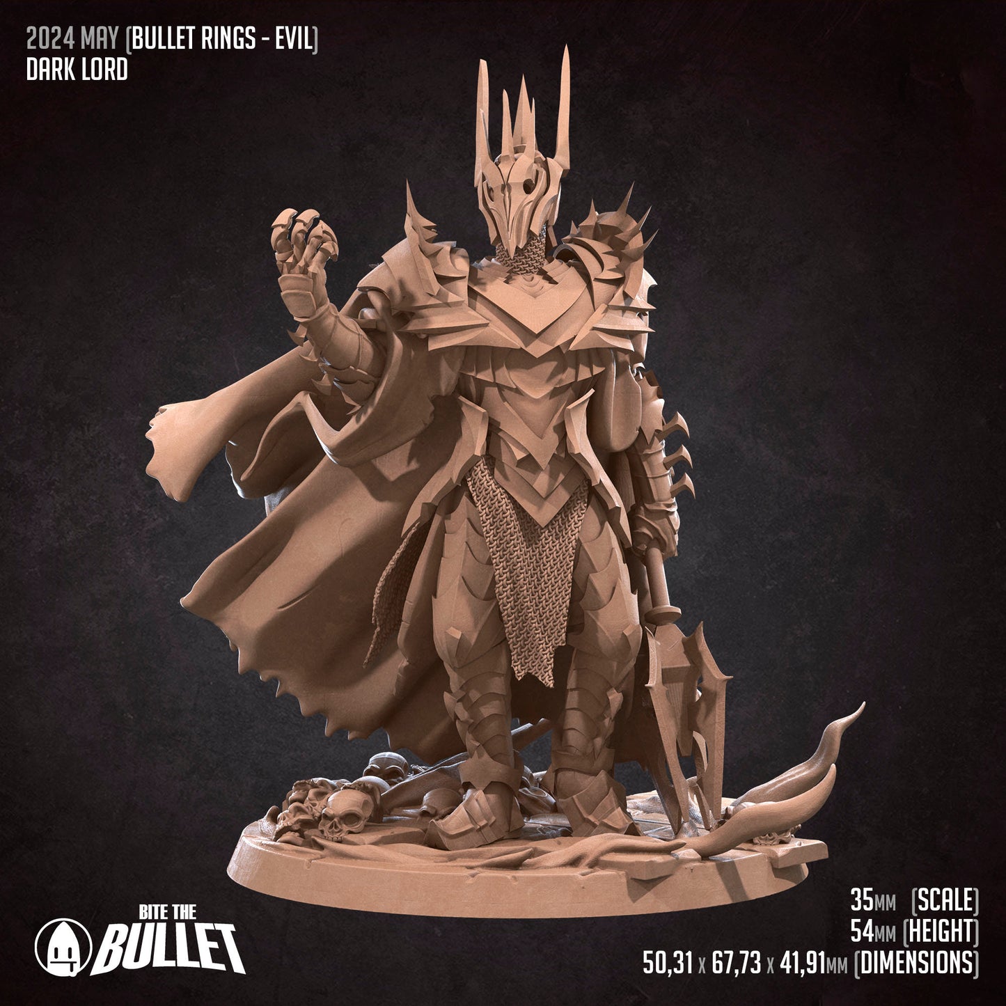 Dark Lord | Bite The Bullet | 35mm Scale | Resin Printed Tabletop RPG Miniature Figures | DND | 5E
