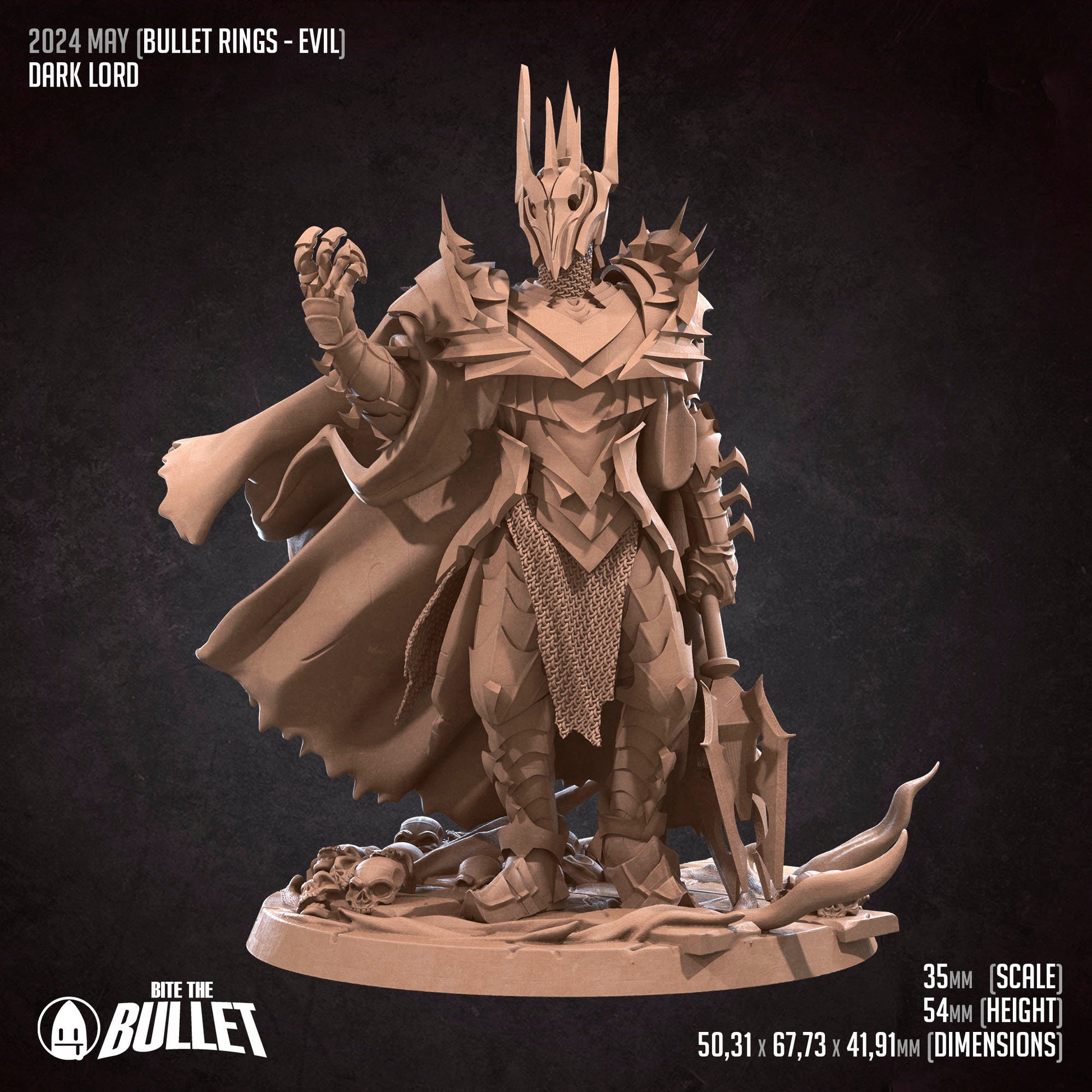 Dark Lord | Bite The Bullet | 35mm Scale | Resin Printed Tabletop RPG Miniature Figures | DND | 5E