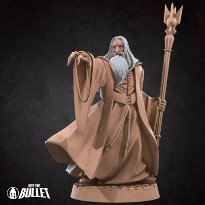 Dark Wizard | Bite The Bullet | 35mm Scale | Resin Printed Tabletop RPG Miniature Figures | DND | 5E