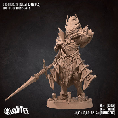 Leo The Dragon Slayer | Bite The Bullet | 35mm Scale | Resin Printed Tabletop RPG Miniature Figures | DND | 5E