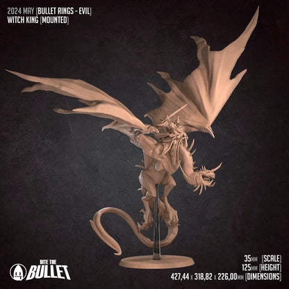 Mounted Witch King | Bite The Bullet | 35mm Scale | Resin Printed Tabletop RPG Miniature Figures | DND | 5E