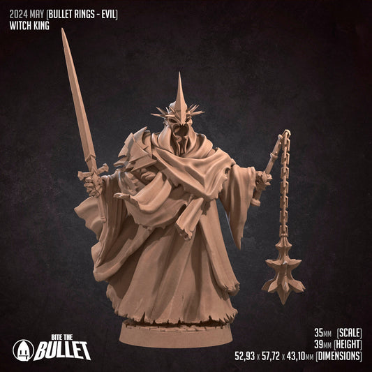 Witch King | Bite The Bullet | 35mm Scale | Resin Printed Tabletop RPG Miniature Figures | DND | 5E