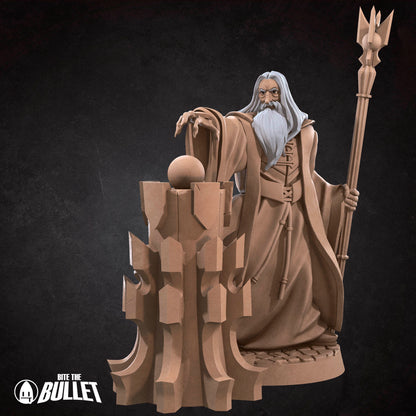 Dark Wizard | Bite The Bullet | 35mm Scale | Resin Printed Tabletop RPG Miniature Figures | DND | 5E