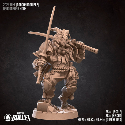 Dragonborn Monk | Bite The Bullet | 35mm Scale | Resin Printed Tabletop RPG Miniature Figures | DND | 5E