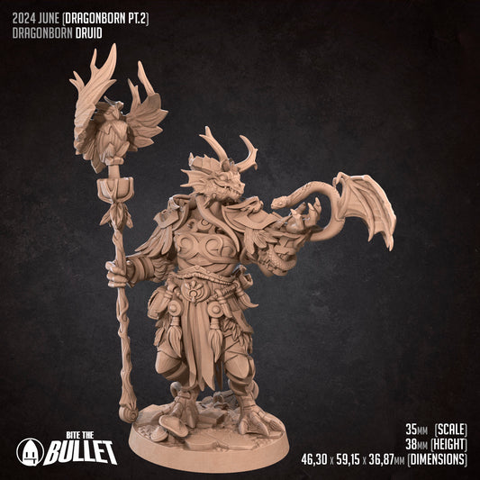 Dragonborn Druid | Bite The Bullet | 35mm Scale | Resin Printed Tabletop RPG Miniature Figures | DND | 5E