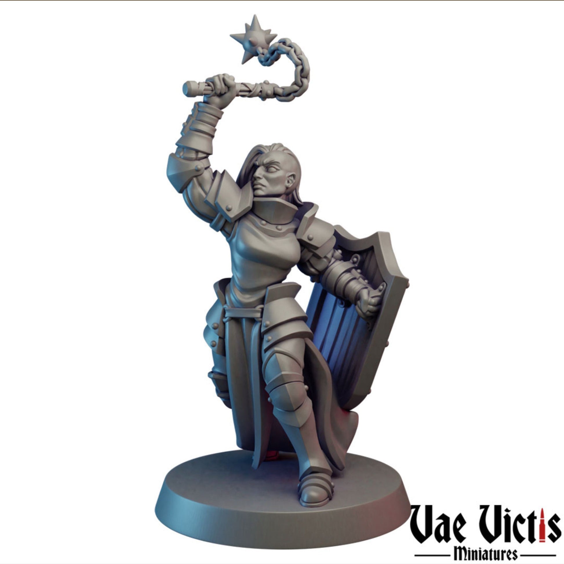 Paladin | Vae Victis Miniatures | 32mm Scale Resin Printed Tabletop RPG Figures for Tabletop Roleplaying or Wargaming