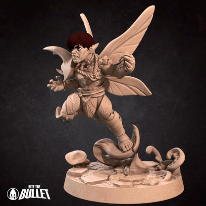 Pixie Fighter | Pixies | Bite The Bullet | 35mm Scale | Resin Printed Tabletop RPG Miniature Figures | DND | 5E