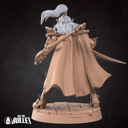 Assassin | Vampires Pt. 2 | Bite The Bullet | 35mm Scale | Resin Printed Tabletop RPG Miniature Figures | DND | 5E