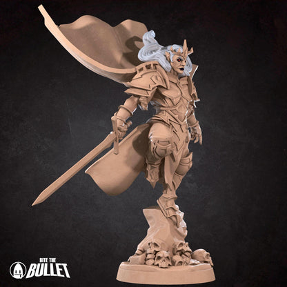 Vampire Paladin | Vampires Pt. 2 | Bite The Bullet | 35mm Scale | Resin Printed Tabletop RPG Miniature Figures | DND | 5E