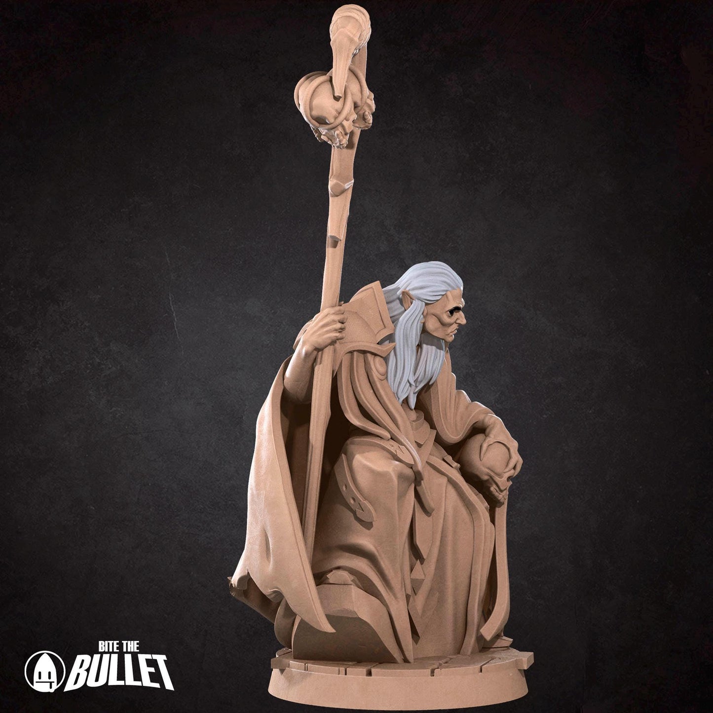 Vampire Sorcerer | Vampires Pt. 2 | Bite The Bullet | 35mm Scale | Resin Printed Tabletop RPG Miniature Figures | DND | 5E