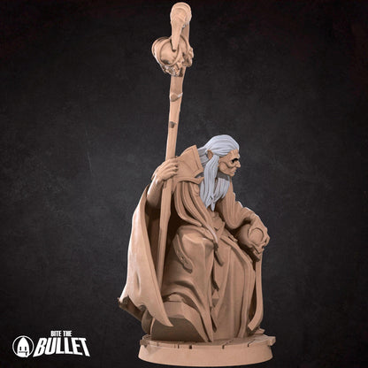 Vampire Sorcerer | Vampires Pt. 2 | Bite The Bullet | 35mm Scale | Resin Printed Tabletop RPG Miniature Figures | DND | 5E