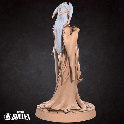 Drow Matron | Dungeon Underdark | Bite The Bullet | 35mm Scale | Resin Printed Tabletop RPG Miniature Figures | DND | 5E