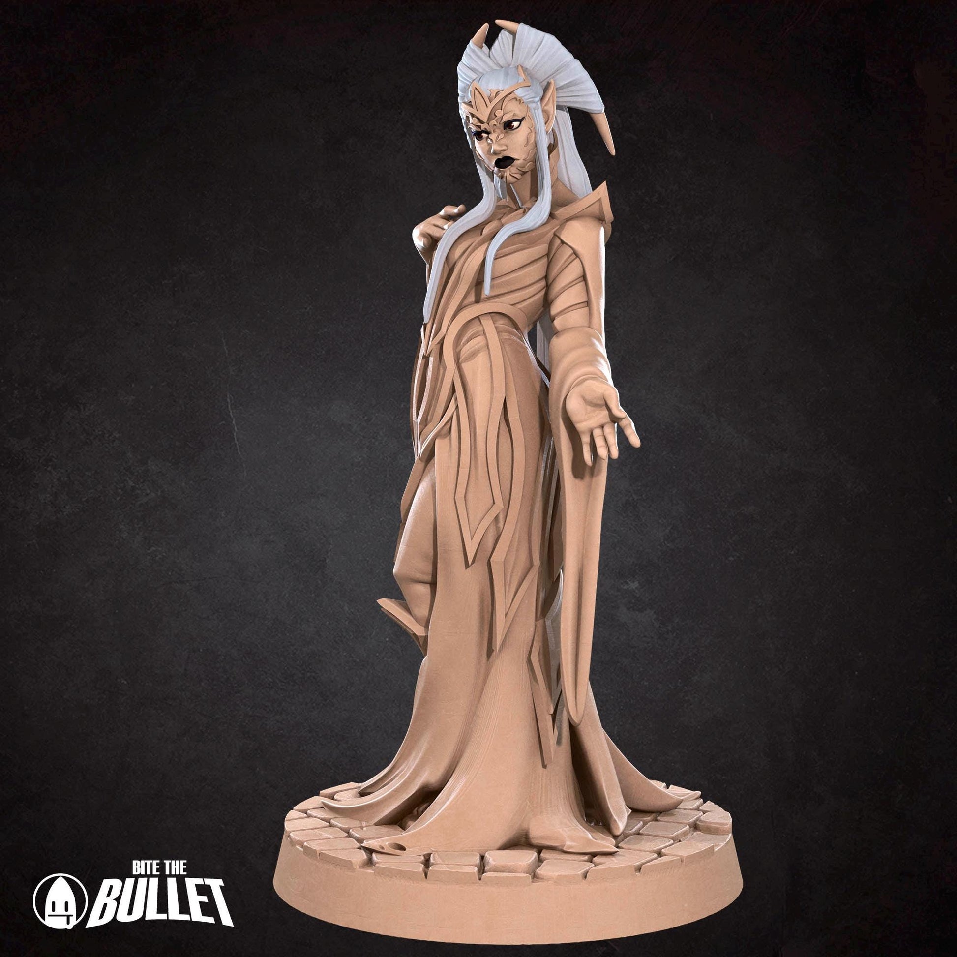 Drow Matron | Dungeon Underdark | Bite The Bullet | 35mm Scale | Resin Printed Tabletop RPG Miniature Figures | DND | 5E