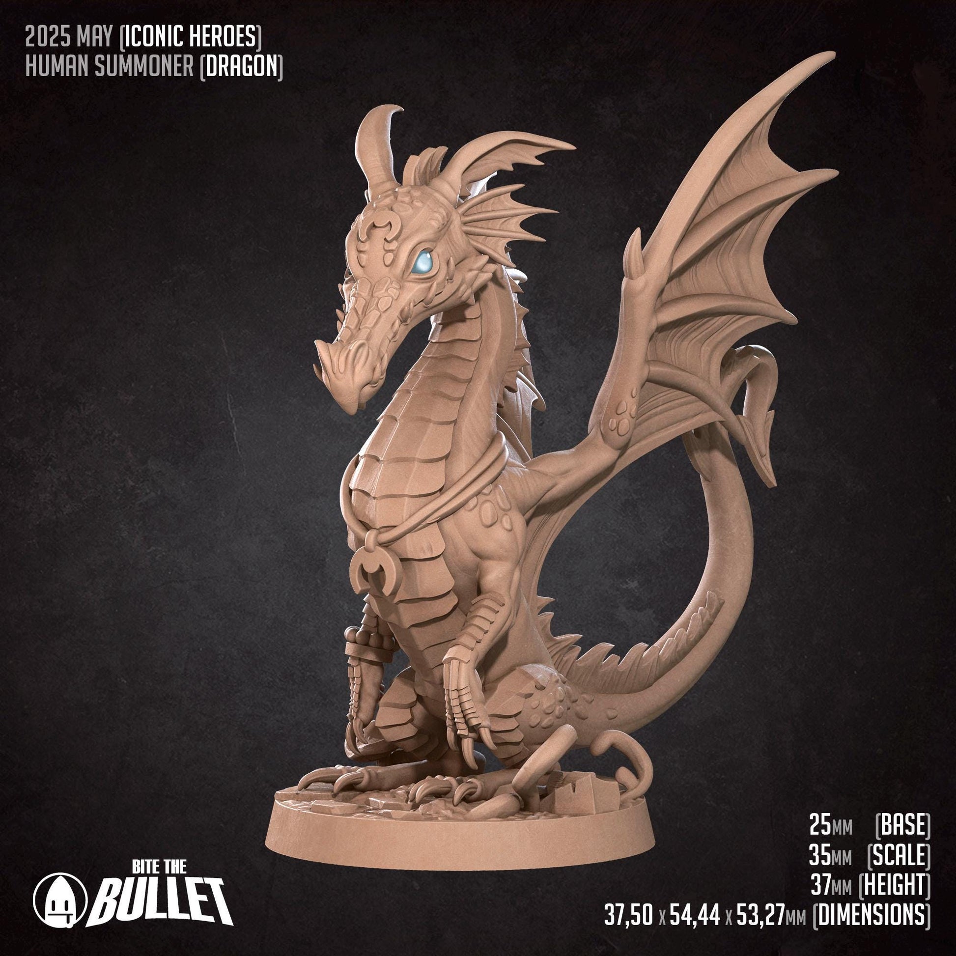 Human Summoner With Young Dragon | Iconic Heroes | Bite The Bullet | 35mm Scale | Resin Printed Tabletop RPG Miniature Figures | DND | 5E