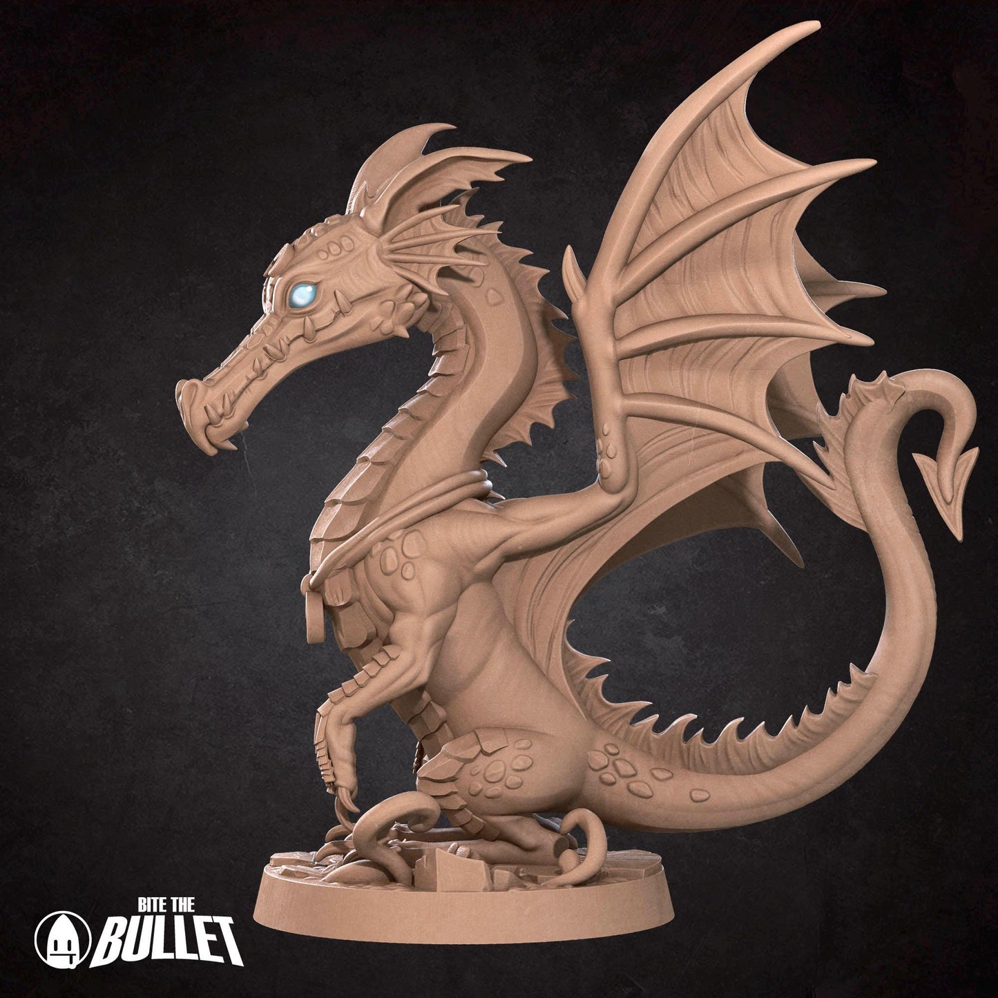 Human Summoner With Young Dragon | Iconic Heroes | Bite The Bullet | 35mm Scale | Resin Printed Tabletop RPG Miniature Figures | DND | 5E