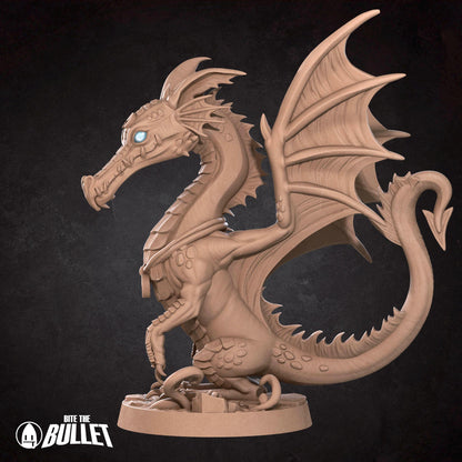Human Summoner With Young Dragon | Iconic Heroes | Bite The Bullet | 35mm Scale | Resin Printed Tabletop RPG Miniature Figures | DND | 5E