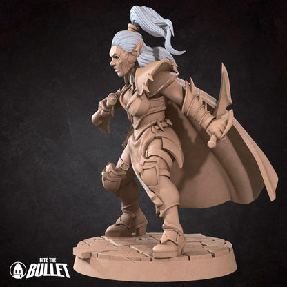 Assassin | Vampires Pt. 2 | Bite The Bullet | 35mm Scale | Resin Printed Tabletop RPG Miniature Figures | DND | 5E