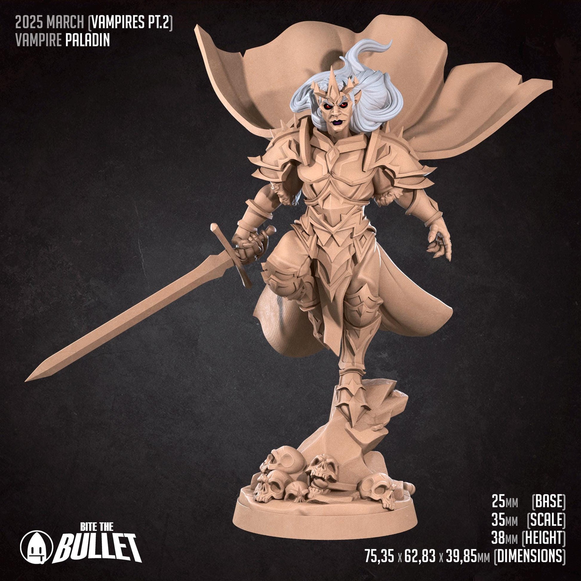 Vampire Paladin | Vampires Pt. 2 | Bite The Bullet | 35mm Scale | Resin Printed Tabletop RPG Miniature Figures | DND | 5E