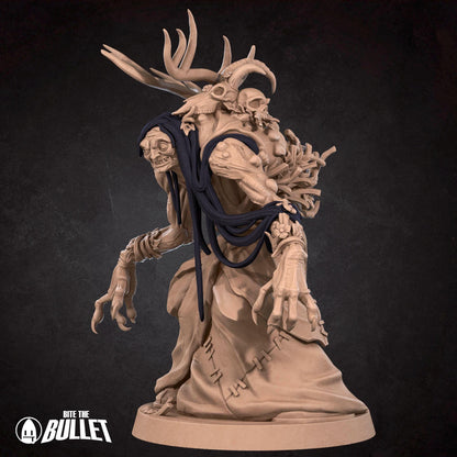 Annis Hag | Iconic Monsters Pt. 2 | Bite The Bullet | 35mm Scale | Resin Printed Tabletop RPG Miniature Figures