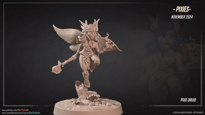 Pixie Druid | Pixies | Bite The Bullet | 35mm Scale | Resin Printed Tabletop RPG Miniature Figures | DND | 5E
