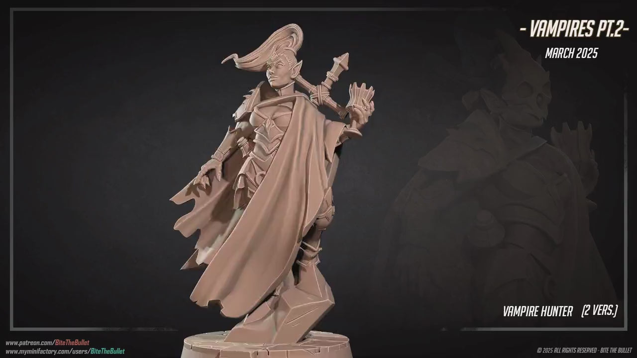 Vampire Hunter | Vampires Pt. 2 | Bite The Bullet | 35mm Scale | Resin Printed Tabletop RPG Miniature Figures | DND | 5E
