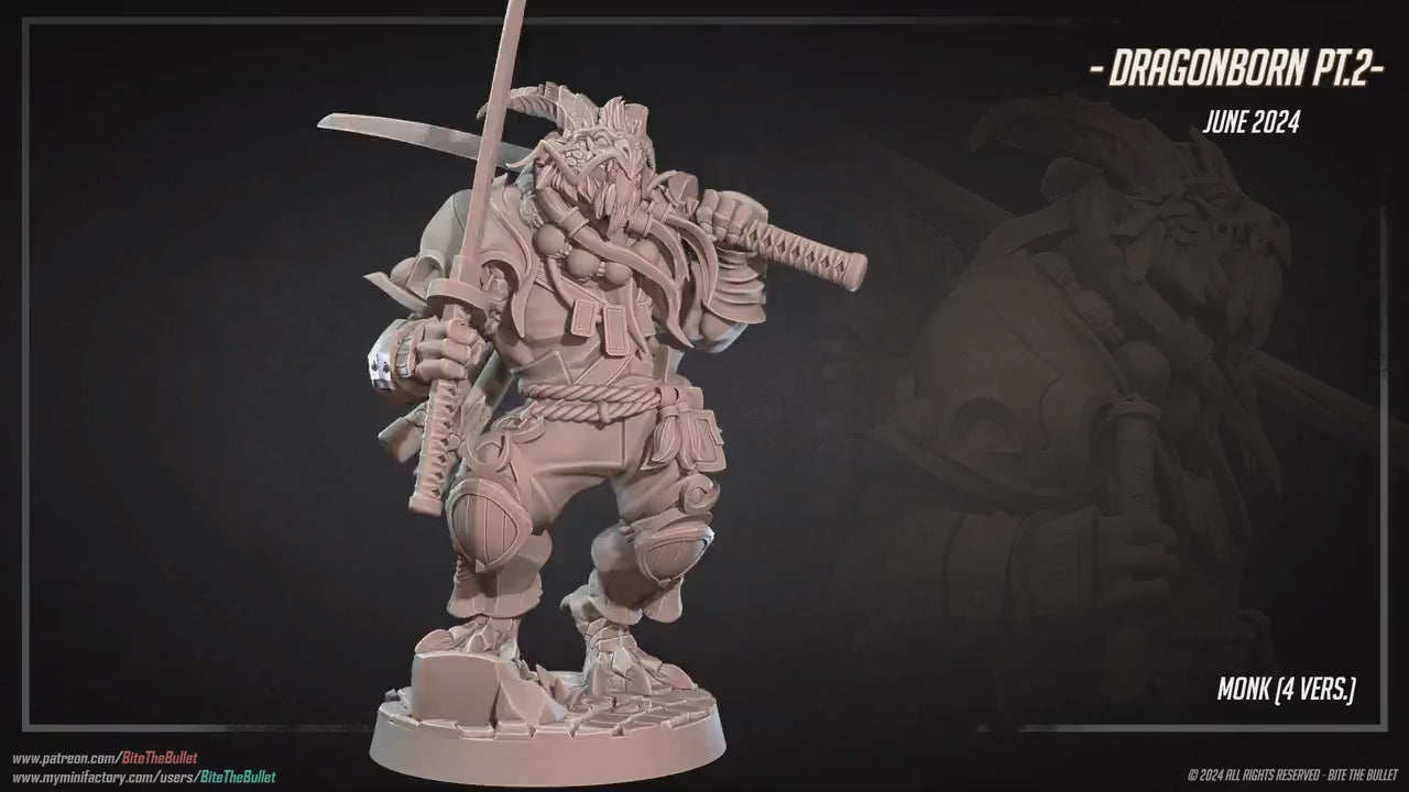 Dragonborn Monk | Bite The Bullet | 35mm Scale | Resin Printed Tabletop RPG Miniature Figures | DND | 5E
