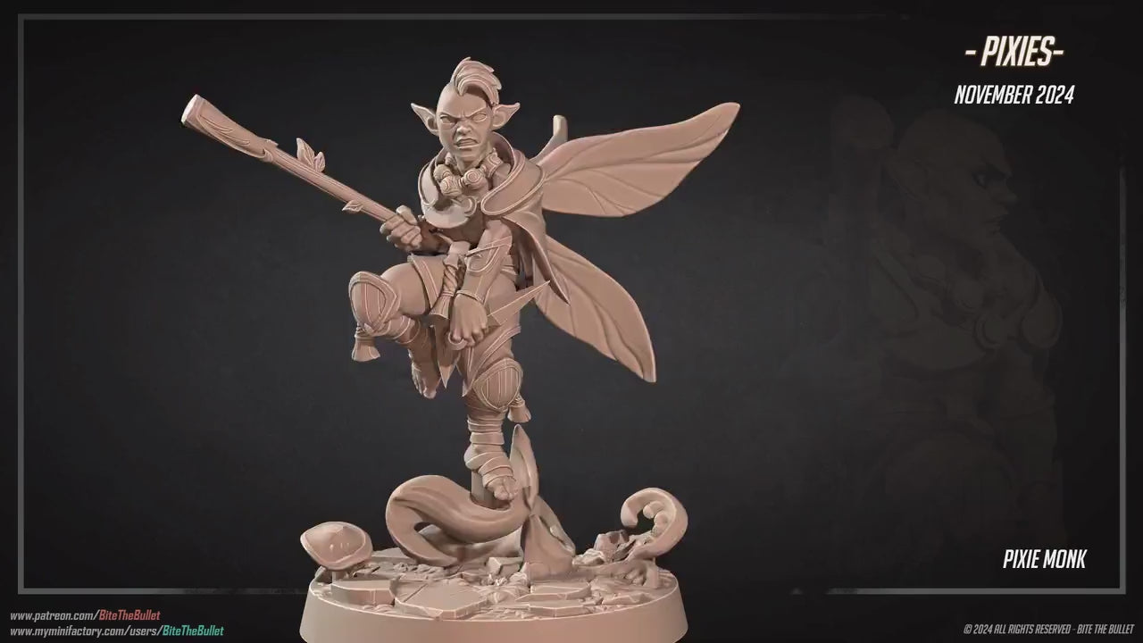 Pixie Monk | Pixies | Bite The Bullet | 35mm Scale | Resin Printed Tabletop RPG Miniature Figures | DND | 5E