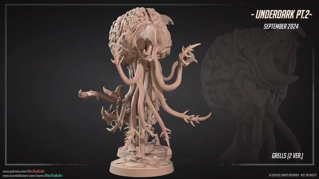 Grell Set | Dungeon Underdark | Bite The Bullet | 35mm Scale | Resin Printed Tabletop RPG Miniature Figures | DND | 5E