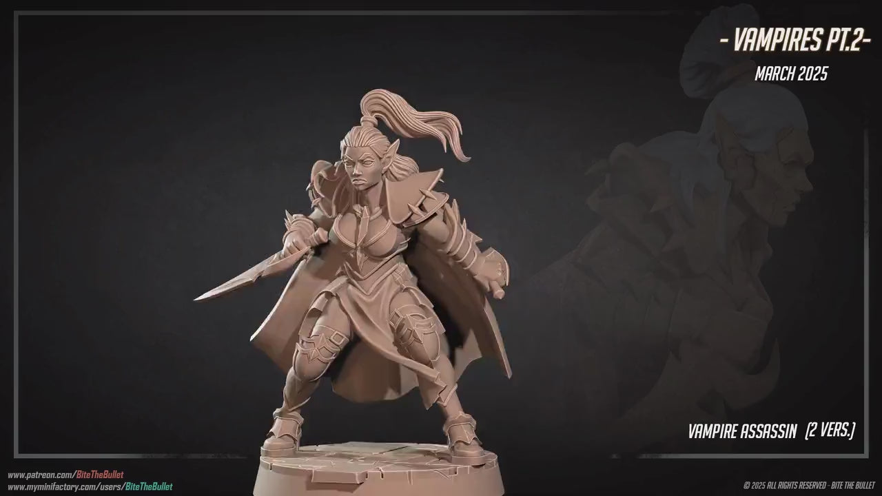 Assassin | Vampires Pt. 2 | Bite The Bullet | 35mm Scale | Resin Printed Tabletop RPG Miniature Figures | DND | 5E