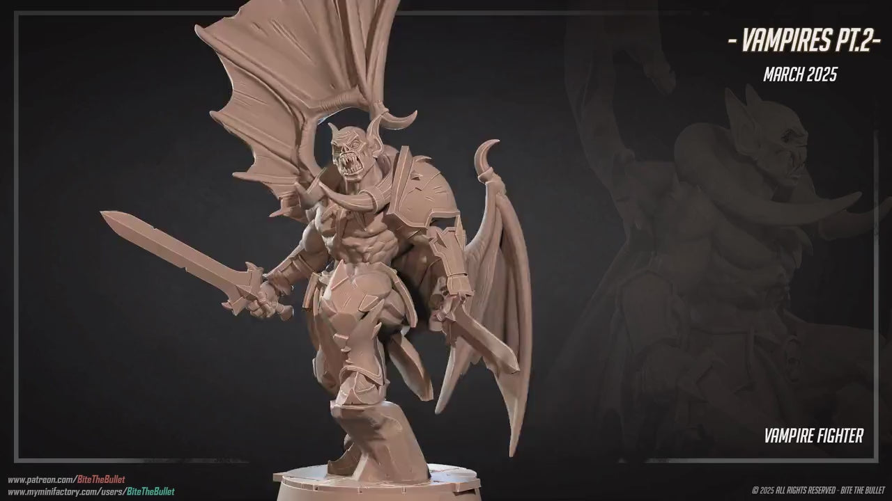 Vampire Fighter | Vampires Pt. 2 | Bite The Bullet | 35mm Scale | Resin Printed Tabletop RPG Miniature Figures | DND | 5E