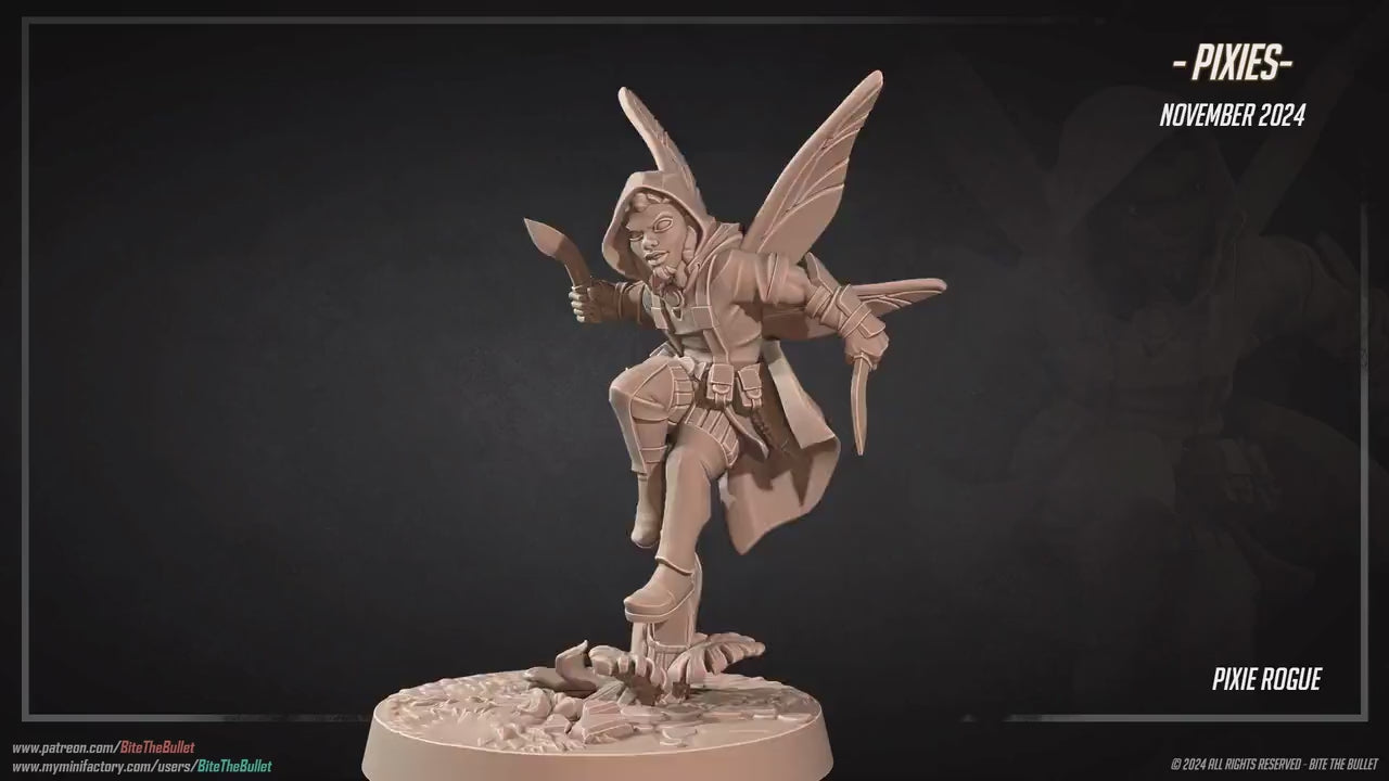 Pixie Rogue | Pixies | Bite The Bullet | 35mm Scale | Resin Printed Tabletop RPG Miniature Figures | DND | 5E