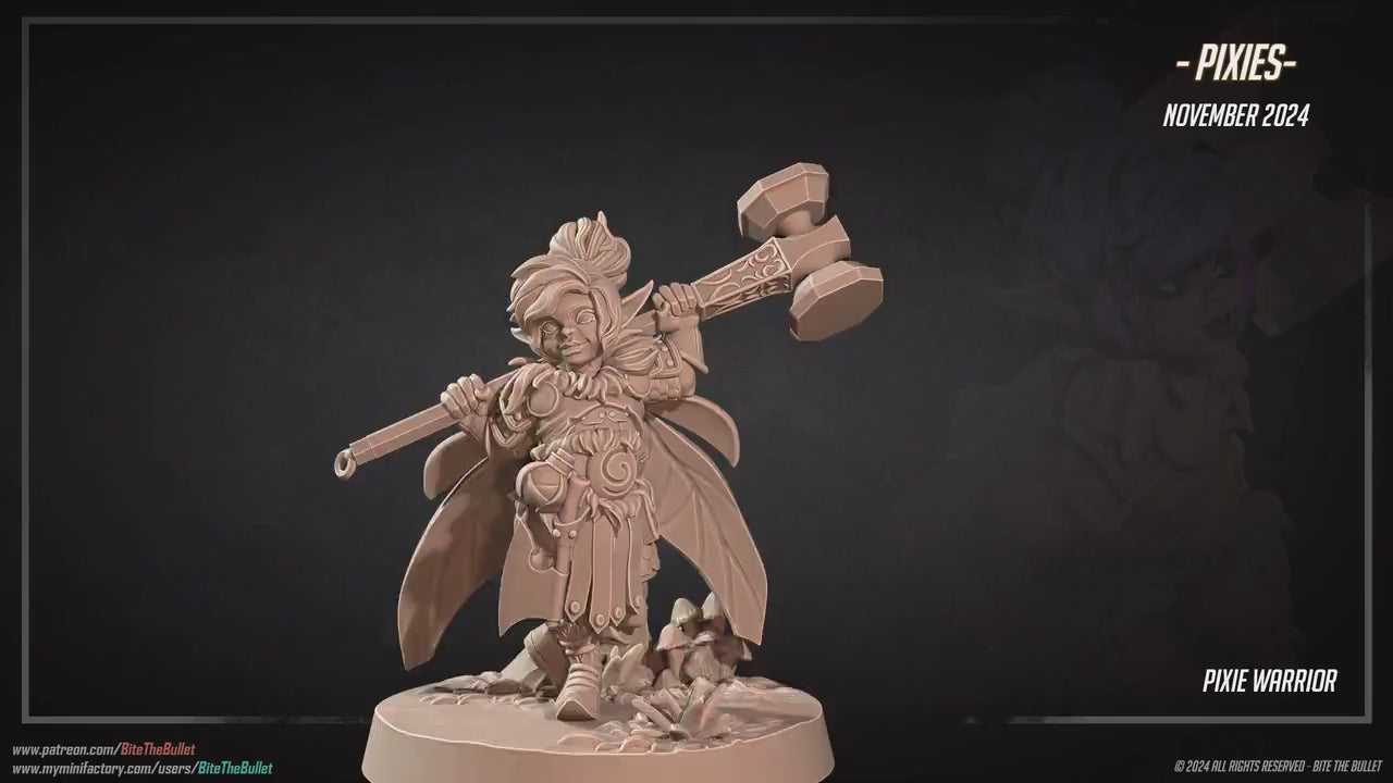 Pixie Warrior | Pixies | Bite The Bullet | 35mm Scale | Resin Printed Tabletop RPG Miniature Figures | DND | 5E