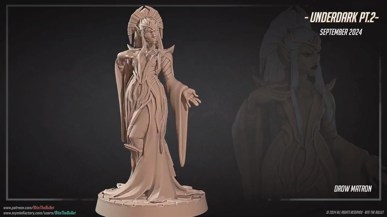 Drow Matron | Dungeon Underdark | Bite The Bullet | 35mm Scale | Resin Printed Tabletop RPG Miniature Figures | DND | 5E