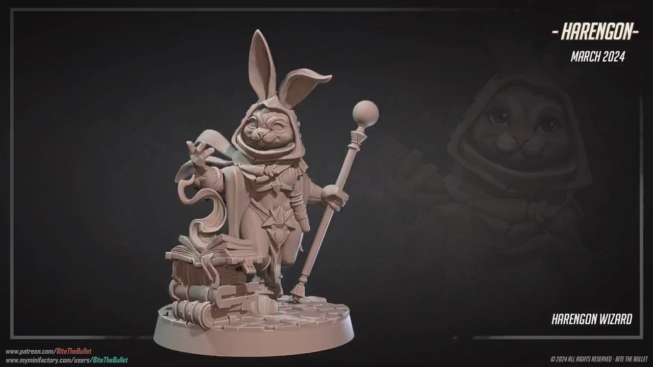 Harengon Wizard | Bite The Bullet | 35mm Scale | Resin Printed Tabletop RPG Miniature Figures | DND | 5E